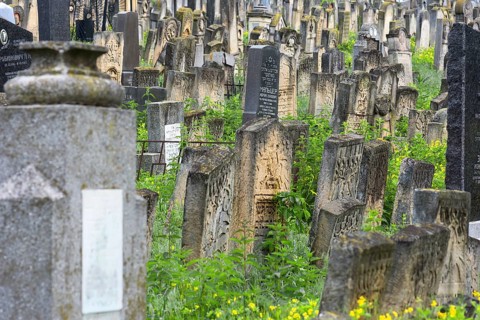 Tombstones at the Jewish cemetery, since 1866, Czernowicz, Bukovina, Ukraine
