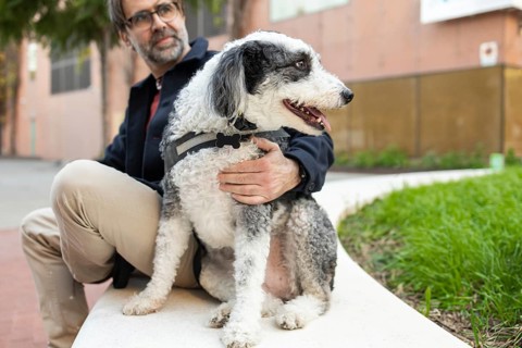 A man sits beside his curly-haired dog in a city park, forming a warm and touching portrait of