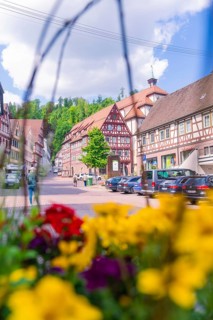 View of a historic town centre with half-timbered houses, colourful flowers and parked cars under a