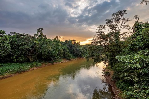 A river flows through a thick forest at sunset, the clouds reflect in the water, The Kalu river in