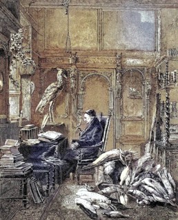 Alfred Edmund Brehm, 1829-1884, was a German zoologist and writer, coloured woodcut from 1864, A