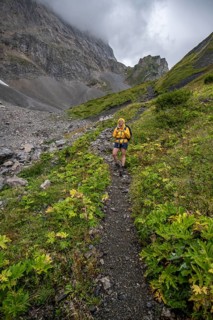 Hiker on the Carnic High Trail, Carnic Alps, Carnic Alps main ridge, Austria