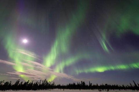 Northern Lights (Aurora borealis), Muddus National Park, Laponia World Heritage Site, Norrbotten,