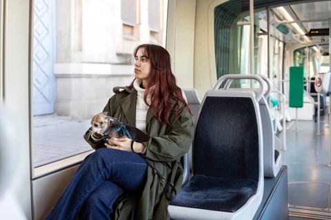 A young woman with long red hair sits on a tram, holding a small chihuahua. She gazes out the