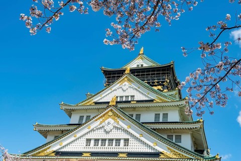 Osaka castle with blooming cherry trees in the park, Osaka Castle Park, Chuo-ku, Osaka, Japan