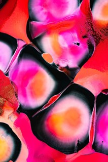 An abstract composition featuring vivid pink, orange, and black swirling patterns. The dynamic and