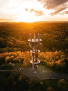 Aerial view of the Schönbuchturm in autumn forest at sunrise, Herrenberg, Germany