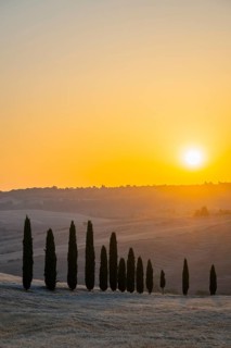 Typical Tuscan landscape in Val d'Orcia with hills, trees, fields, farmhouses and cypresses at