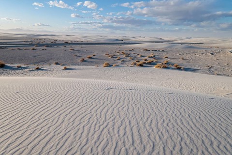 Patterns in the dunes at White Sands National Park in Alamogordo, New Mexico, USA