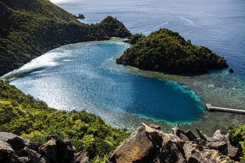 Aerial view of a secluded bay with turquoise waters enclosed by lush greenery in the Raja Ampat