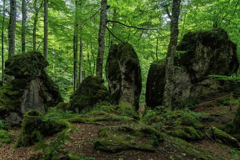 Captivating view of a dense, green forest in Sierra de Urbasa, Navarra, Spain. Moss-covered rocks