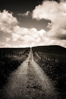 Path in Cezallier plateau, Auvergne volcanoes regional natural park, Puy de Dome department,