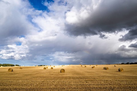 Straw bales on the Scottish fields, Southeast Scotland, UK