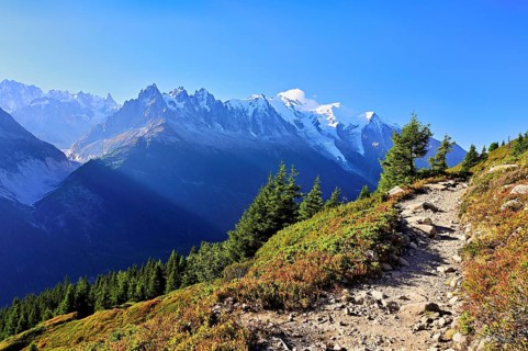 Mountain forest in an autumnal landscape with the snow-covered Mont Blanc massif in the background,