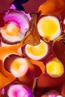 An abstract image featuring vibrant swirls of ink in shades of pink, yellow, orange, and brown on a