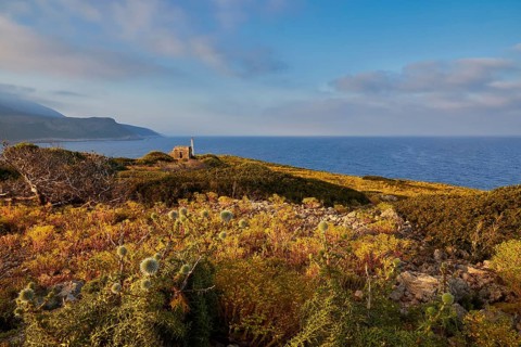 A coastal landscape with an old house and blooming vegetation, morning light, Tsichli Babas islet,