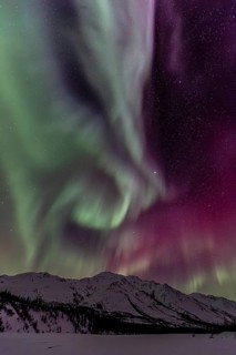 Green, yellow, red and purple northern lights (aurora borealis) over snowy mountains, northern