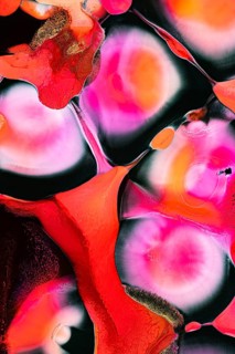 A striking abstract image with dynamic swirls of red, pink, and black hues. The liquids patterns