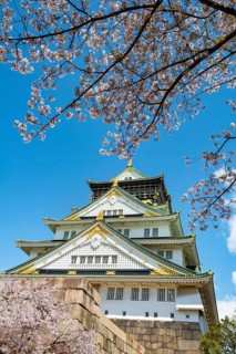 Osaka castle with blooming cherry trees in the park, Osaka Castle Park, Chuo-ku, Osaka, Japan