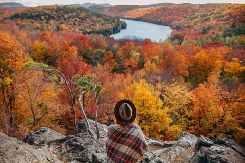 A person in a plaid blanket and hat gazes over a vibrant landscape in Quebec, Canada. The autumn