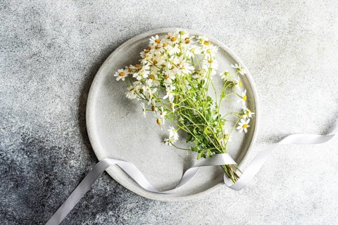 Top view of fresh summer daisies laid on a round grey plate with a white ribbon. The subtle