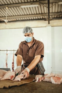 Cutting up a slaughtered dromedary (camelus dromedarius), camel slaughter, Salalah slaughterhouse,