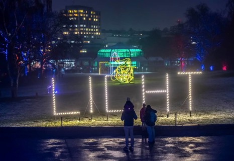 Park lights, events in winter, in the Grugapark in Essen, many different light installations,