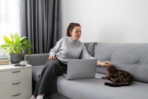 A woman works from home, sitting on a gray sofa, using a laptop. She gently pets a cat beside her,
