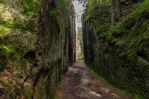 Mühlsteinbrüche hiking area near Jonsdorf in the Zittau Mountains, Upper Lusatia, Saxony, Germany