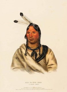 Esh-Ta-Hum-Leah. A Sioux Chief (1838), Indians, Historical Indian Tribes from North America,