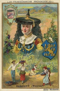 Picture series French provinces, grape grape harvest in Burgundy, Liebig picture, digitally