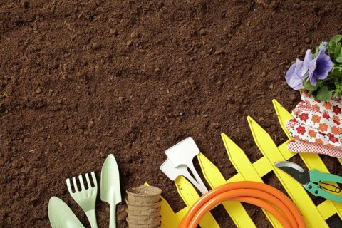 A vibrant set of gardening tools, gloves, and blooming flowers against rich soil. Ideal for spring