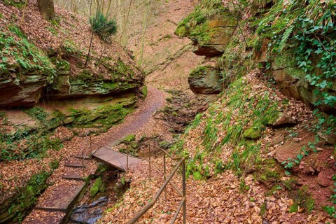Holzsteg leads through a narrow gorge with moss-covered rocks and leaves, Seltenbach Gorge,