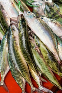 Fisch auf dem Sir Selwyn Selwyn, Clarke Market, Victoria, Mahe, Republik Seychellen, Indischer