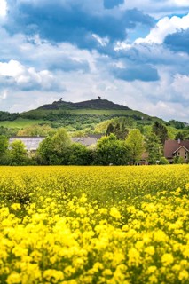 Rungenberg slag heap in the Buer district, night sign light installation, rape field,