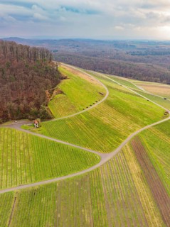 Green fields on hills, criss-crossed by roads, bordering a forest, Großbottwar, Ludwigsburg