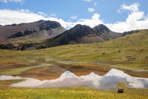 Alpacas graze peacefully in the vast landscape near a reflective lagoon, surrounded by the striking