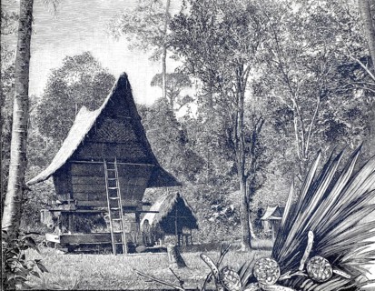 German tobacco plant in Sumatra, 1890, Battaker apartment, workers' accommodation, illustration,