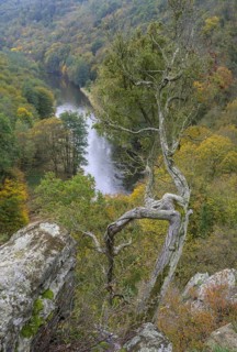 View Umlaufberg on the Thaya river, Hardegg, Lower Austria, Austria