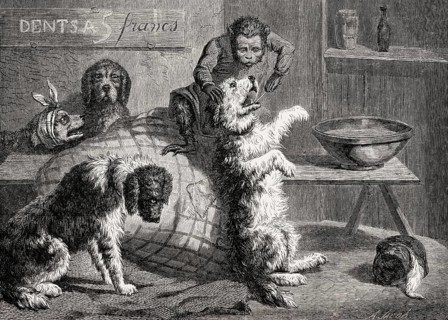 Monkey as a dentist for dogs by Zacharie Noterman, 19th century