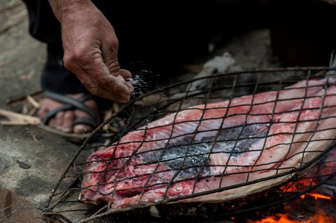 Preparing and grilling Masgouf over an open fire in the southern marshes of Iraq, fish cooked over