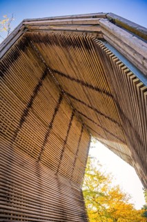 Artistic gate in the municipal park during autumn in the morning, Calw, Black Forest, Germany