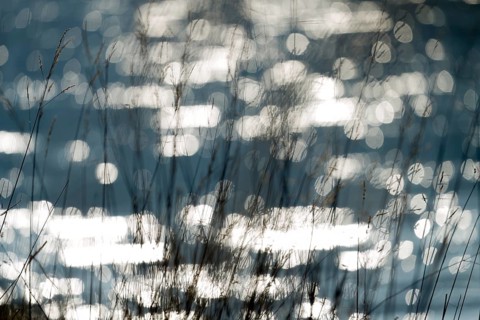 Waves on the Weser river with sun reflexes, Wesertal, Weserbergland, Germany
