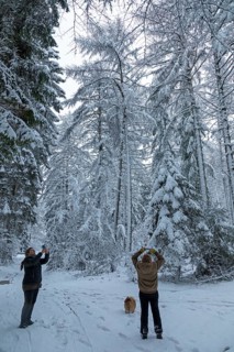 Two woman taking pictures in a snowy forest, dog, winter, snow, Sieversen, Samtgemeinde
