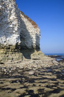 Coastal scenery at Flamborough Head, Yorkshire, England, United Kingdom