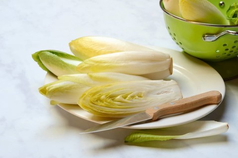 Chicory, chicory salad on plate with knife