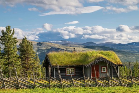 Grassy alpine hut, Alvdal Vestfjell, Hedmark, Innlandet, Norway, June 2025