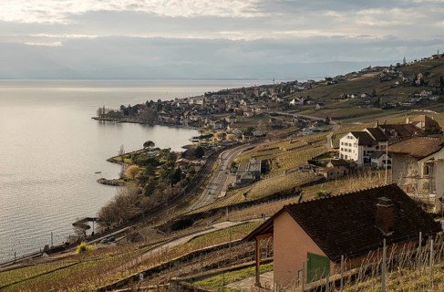 Capturing the serene beauty of Lavaux vineyards on a sunny winter day, this image boasts a stunning