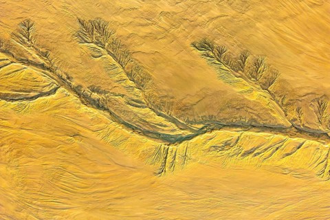 Aerial view of fractal mud textures showcasing intricate patterns with natural earth tones. These