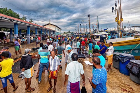 Many people move around in a lively fish market next to colorful boats, the fishermen in the